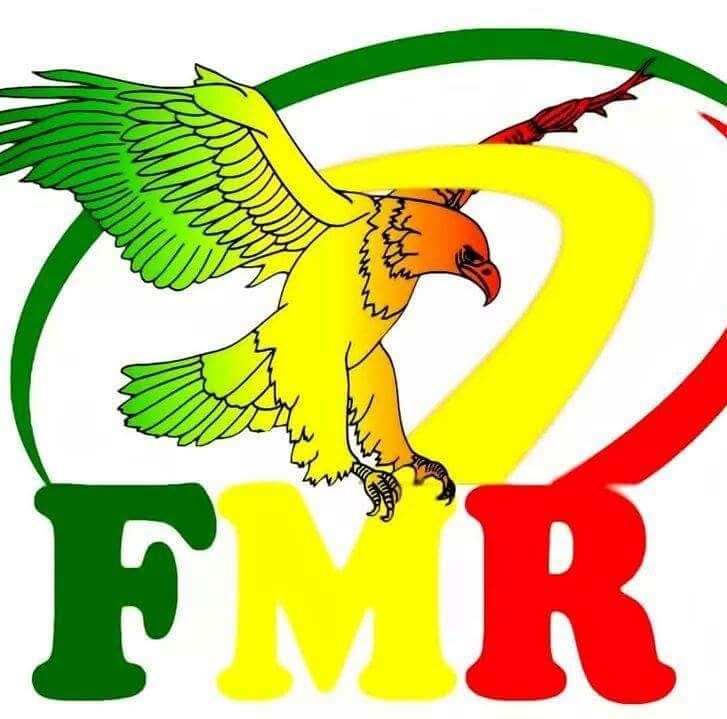 Fédération Malienne de Rugby